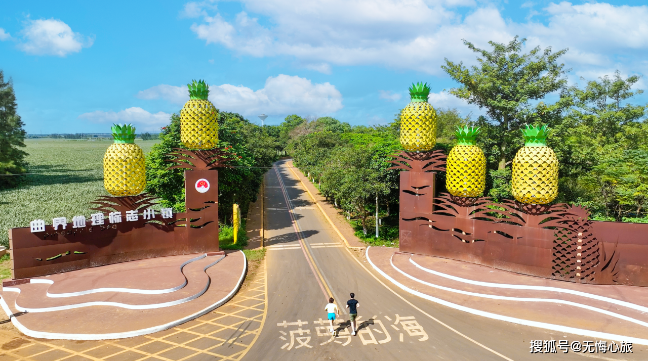 2024徐闻马拉松新闻发布会召开!赛事将在1月14日开跑!_菠萝_景区_比赛