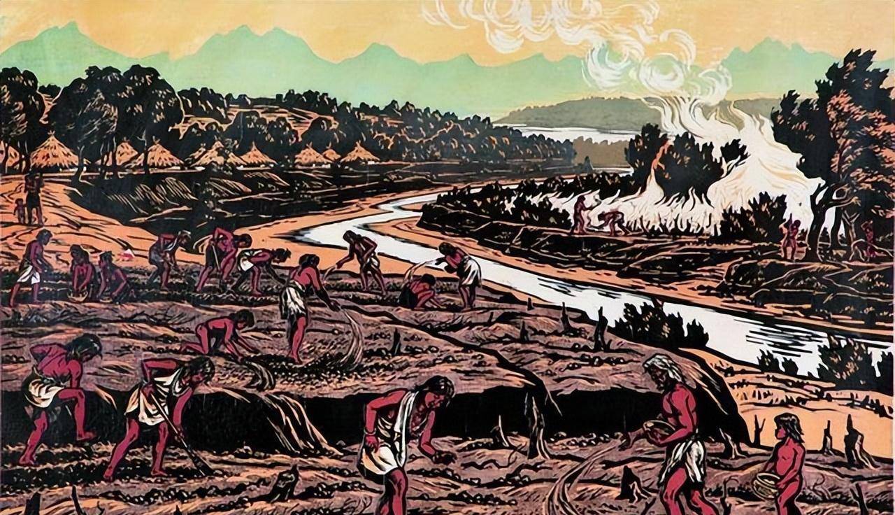 楚国的地盘那么大,为什么打不过西陲之地的秦国?_时期_农业_诸侯