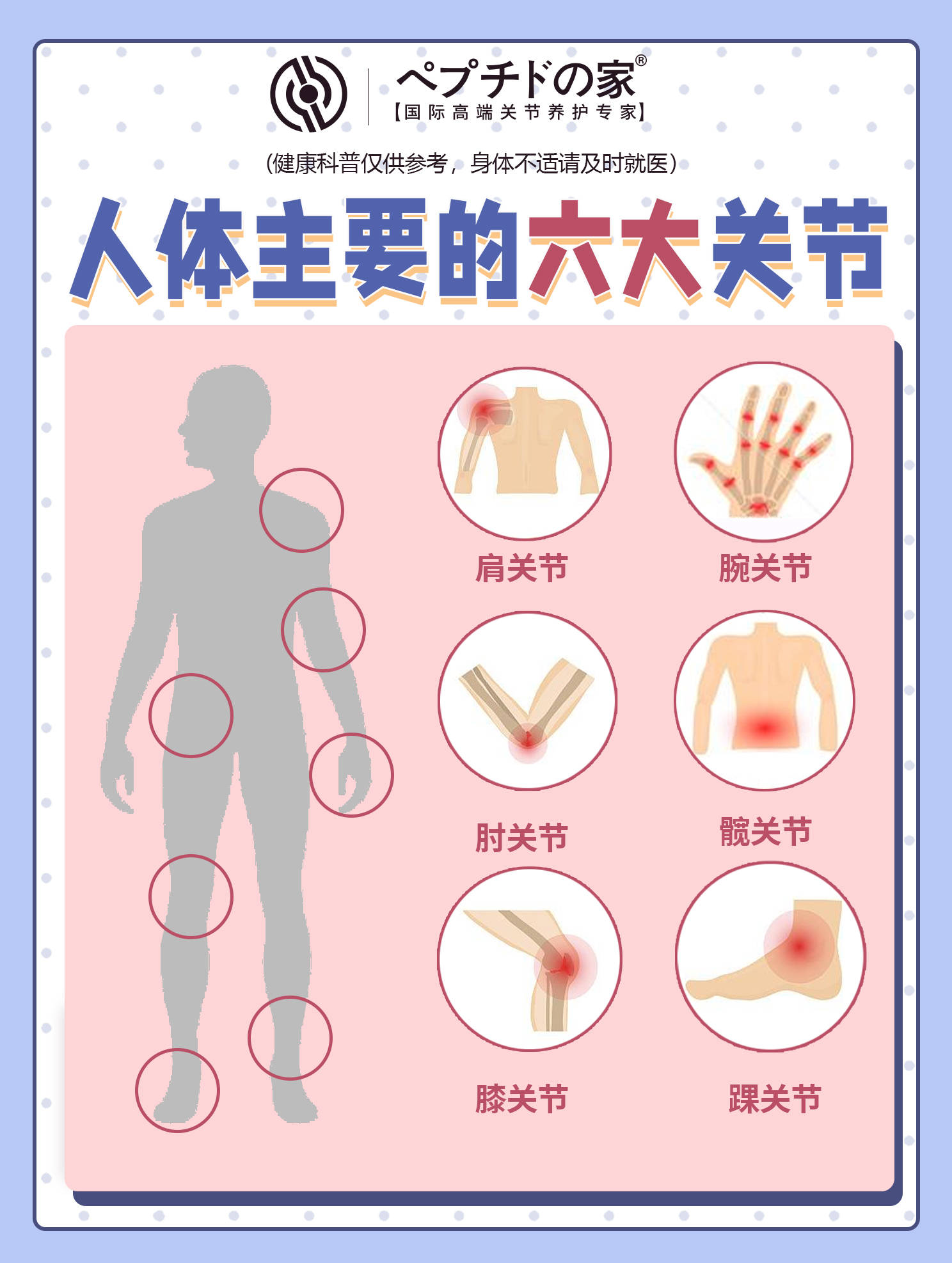 全身关节名称示意图图片