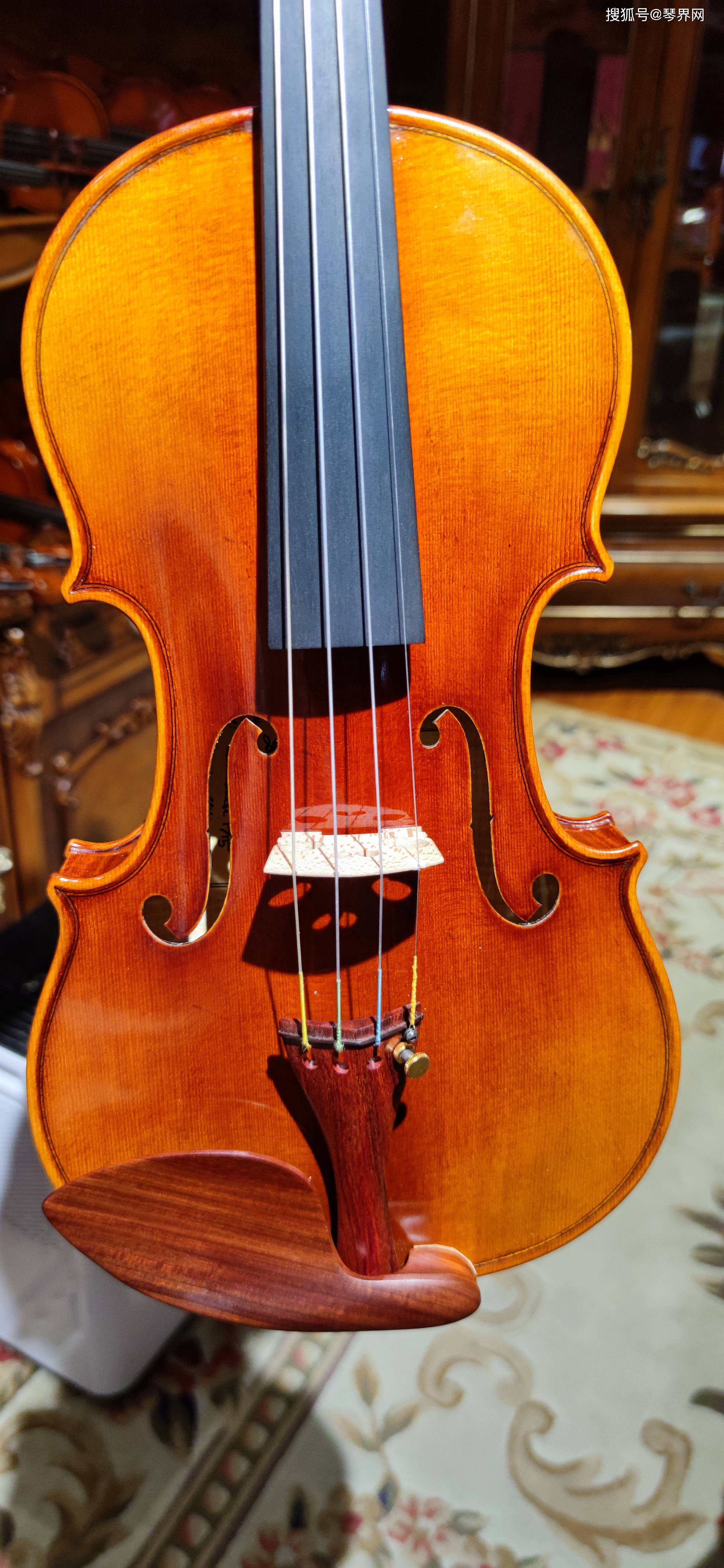 音色优美,温暖,充满表现力的小提琴_高音_低音_音域