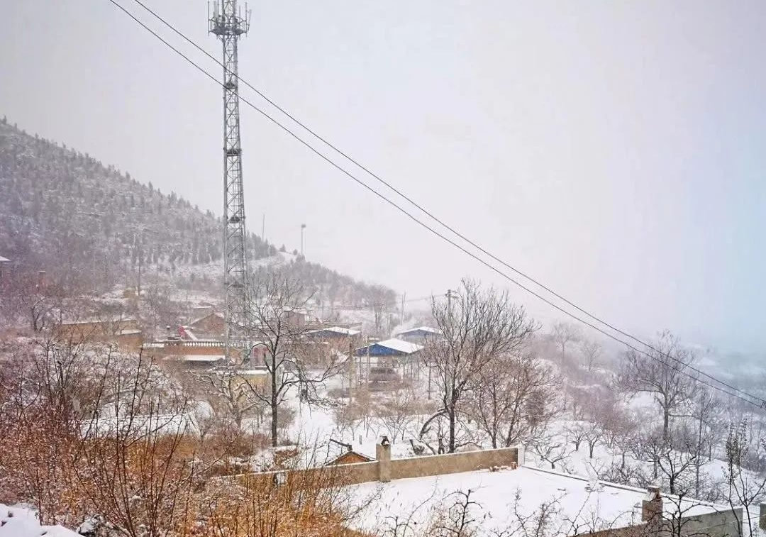 富平庄里道德讲堂公益协会:故乡情 | 富平虎头山的雪景