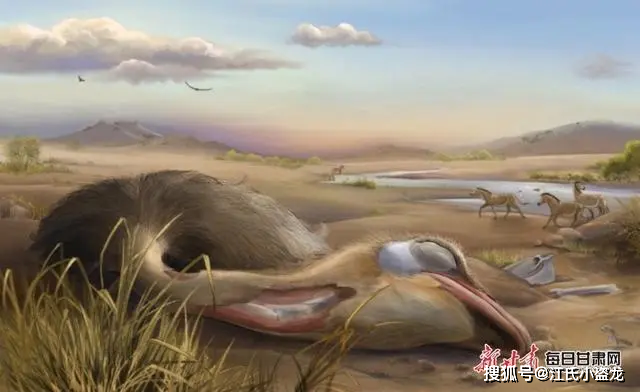 600万年前中国也有鸵鸟!