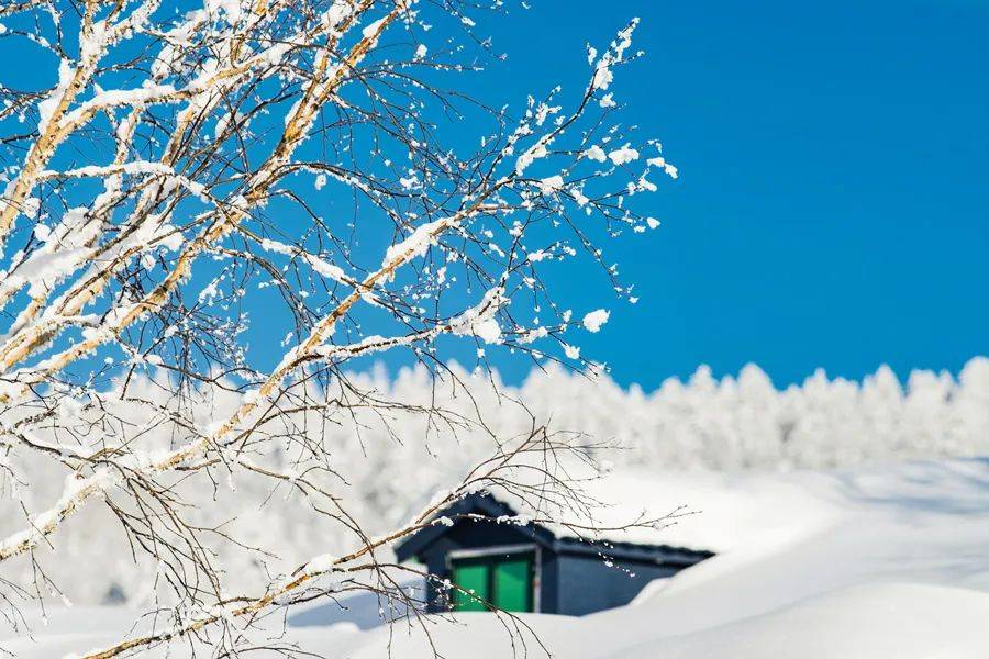 下雪天!做對這幾件事,整個冬天不生病!_身體_運動_氣溫