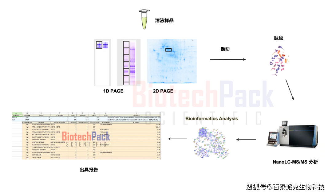 如何優化質譜分析技術揭示蛋白質組學kegg富集分析?