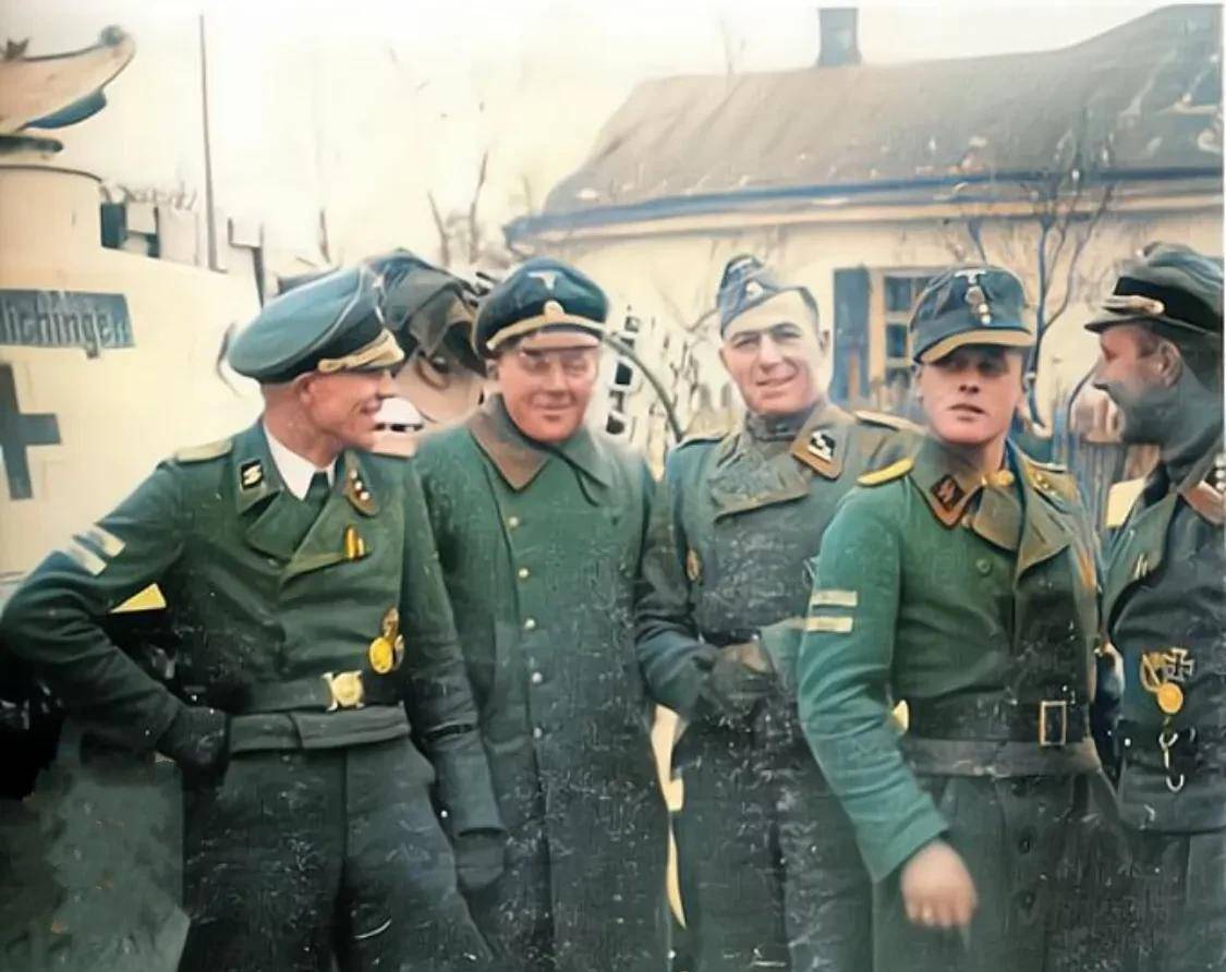 二战德国党卫军38个师:各师师徽标志,番号及编制简介(上篇)_武装_装甲