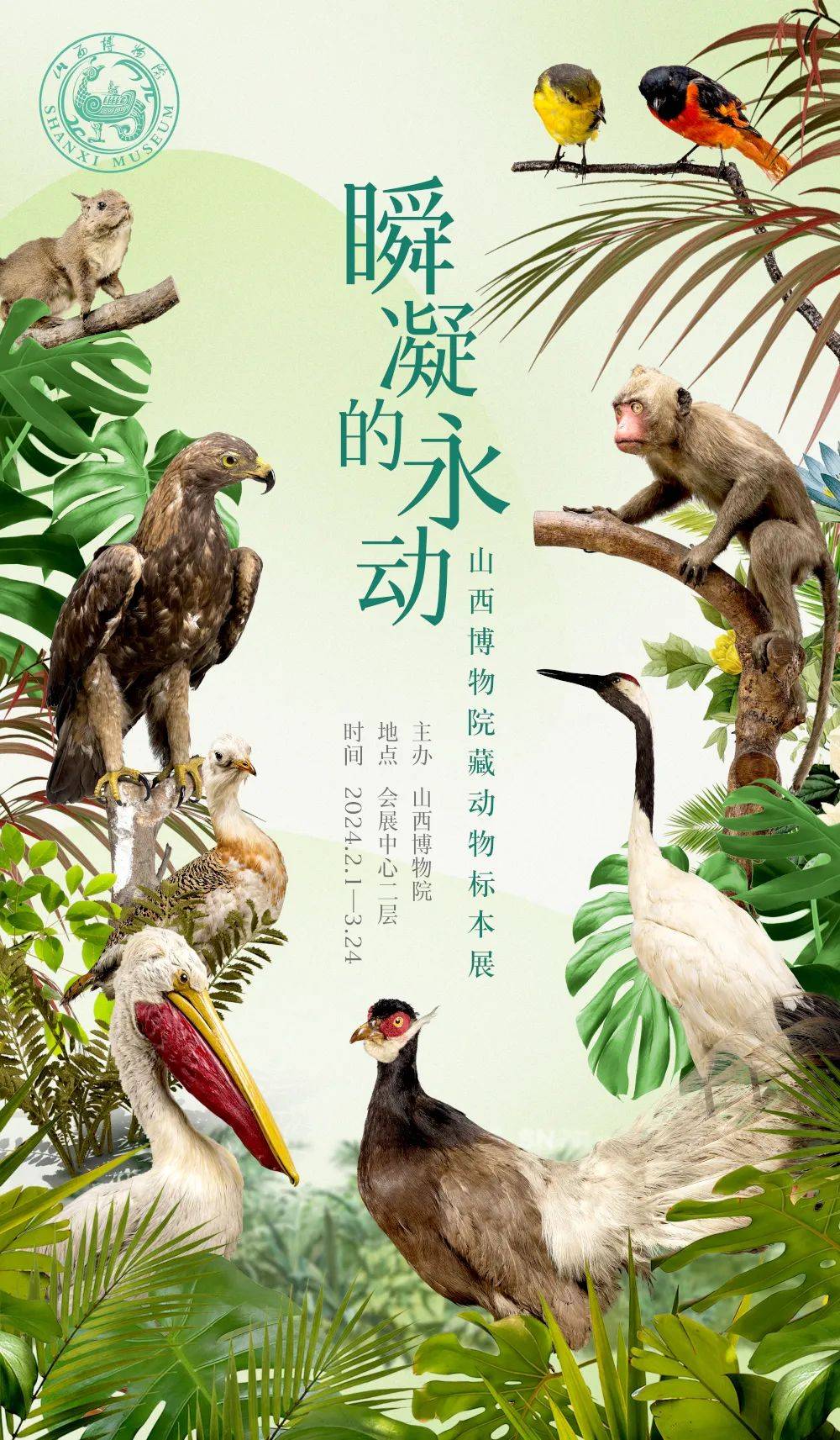 這些動物標本是百年晉博的珍貴收藏,涵蓋眾多珍稀鳥獸及海洋生物.