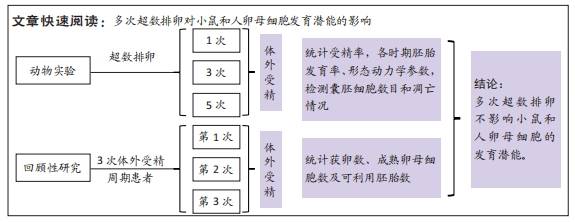 多次超數排卵對小鼠和人卵母細胞發育潛能的影響_胚胎