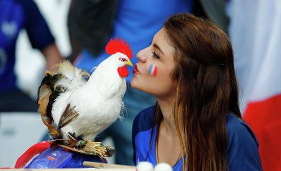 在一些体育赛事中,法国队常被称作高卢雄鸡.