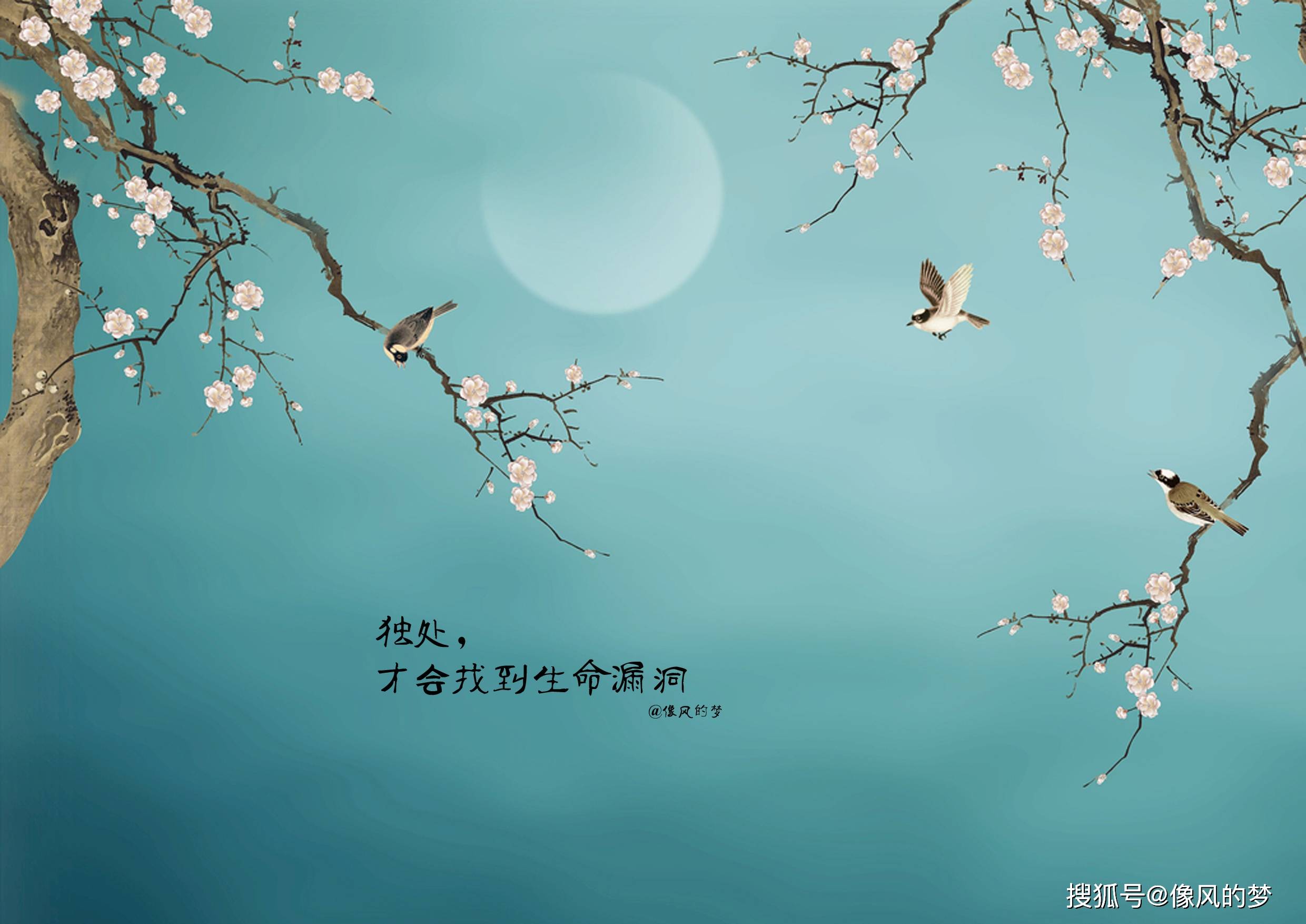 既然爱上了孤独,就再也没有回头路,注定死心塌地从一而终