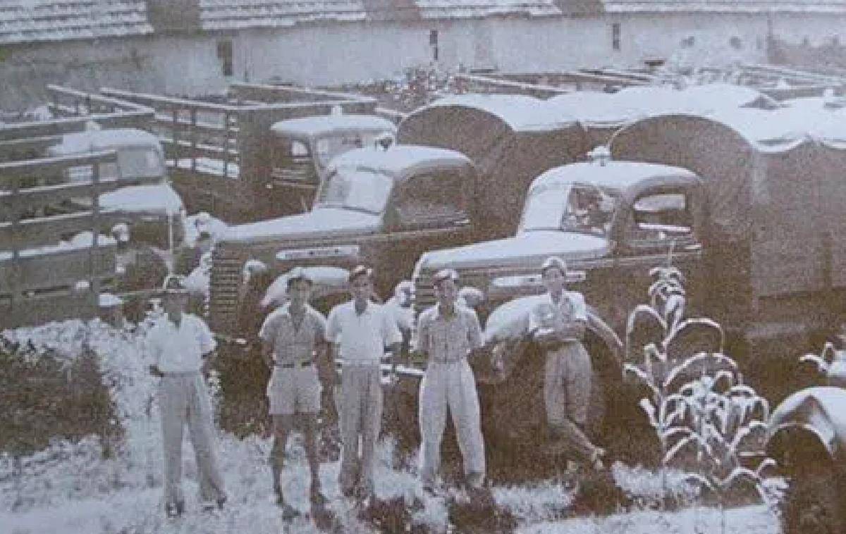 南侨女机工混进"抗战输血管",意外受伤后身份暴露_李月_南洋_华侨