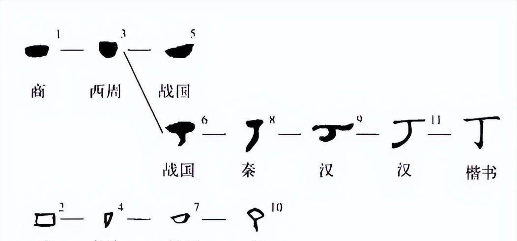 丁字演變丁字,最早出見於甲骨文,本義是釘子.