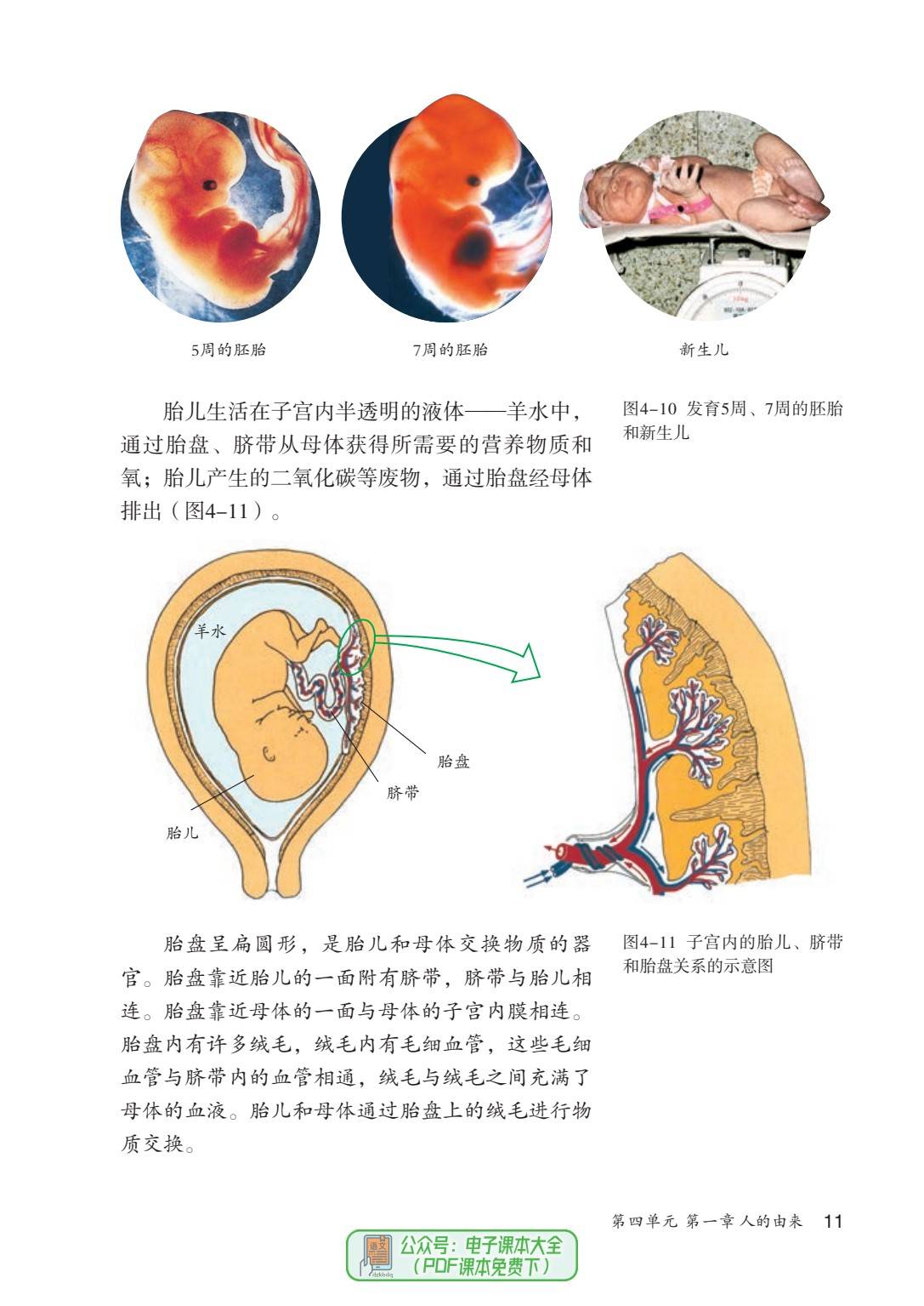 最新版七年级下册初中初一生物学电子课本大全pdf高清版教科书电子版