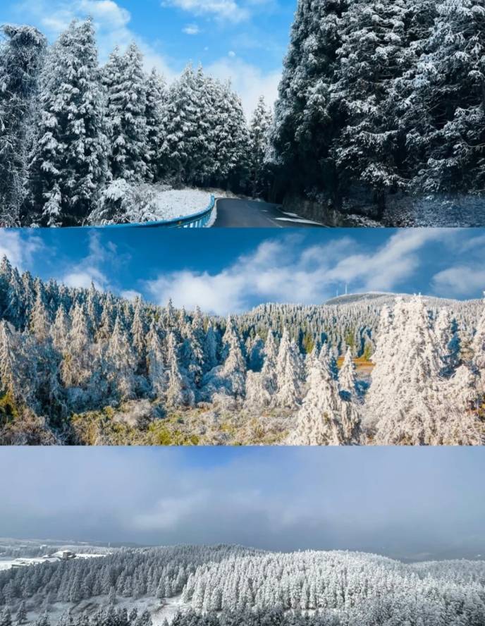 重庆武隆仙女山雪景图片
