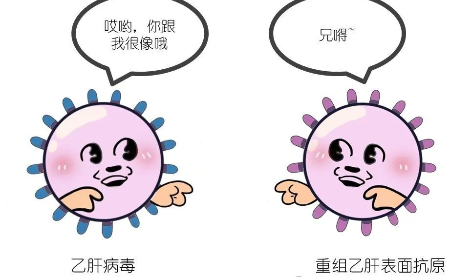 乙肝是非常顽固的_治疗_方法_患者