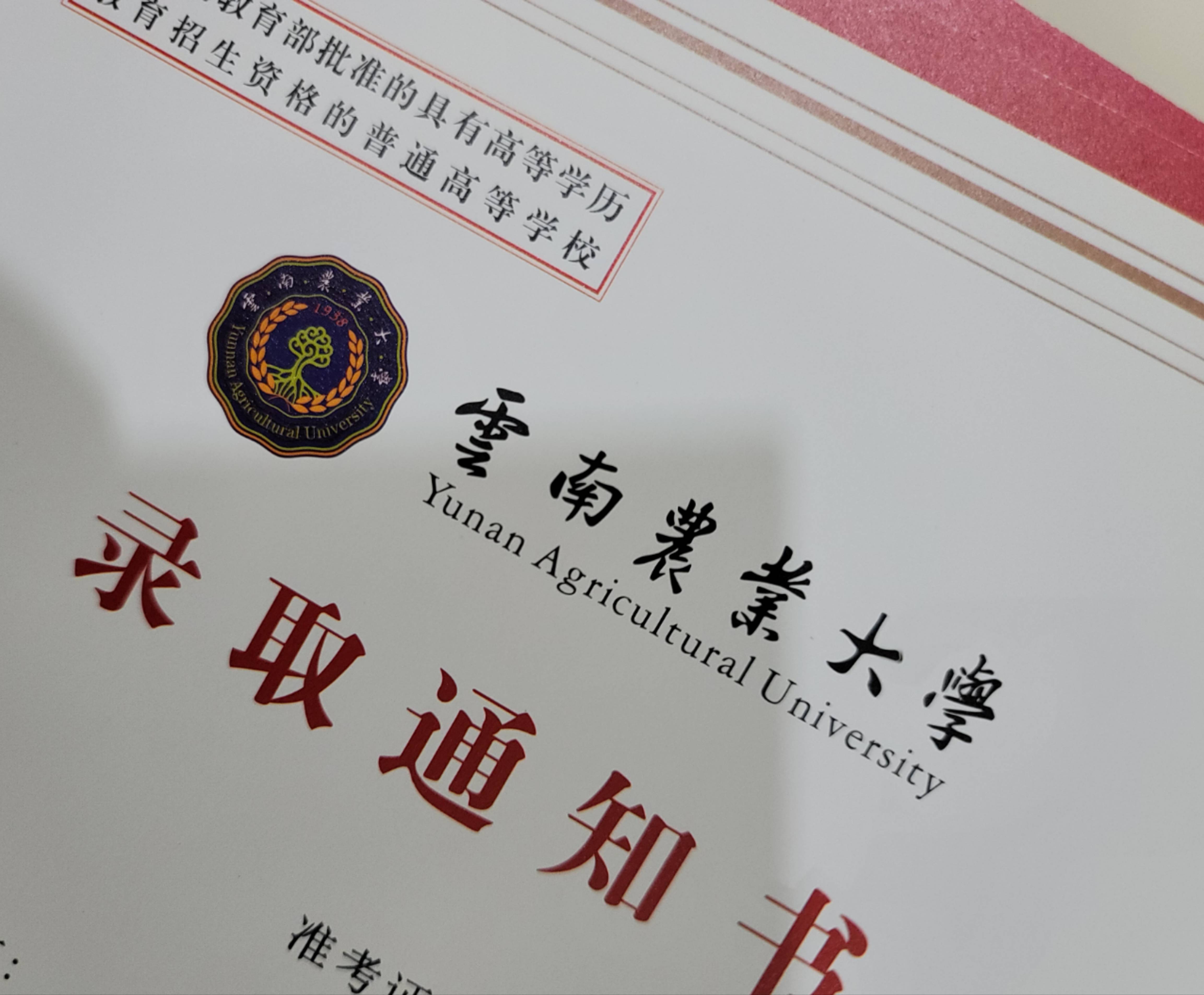 2024年云南成人本科什么时候报名?