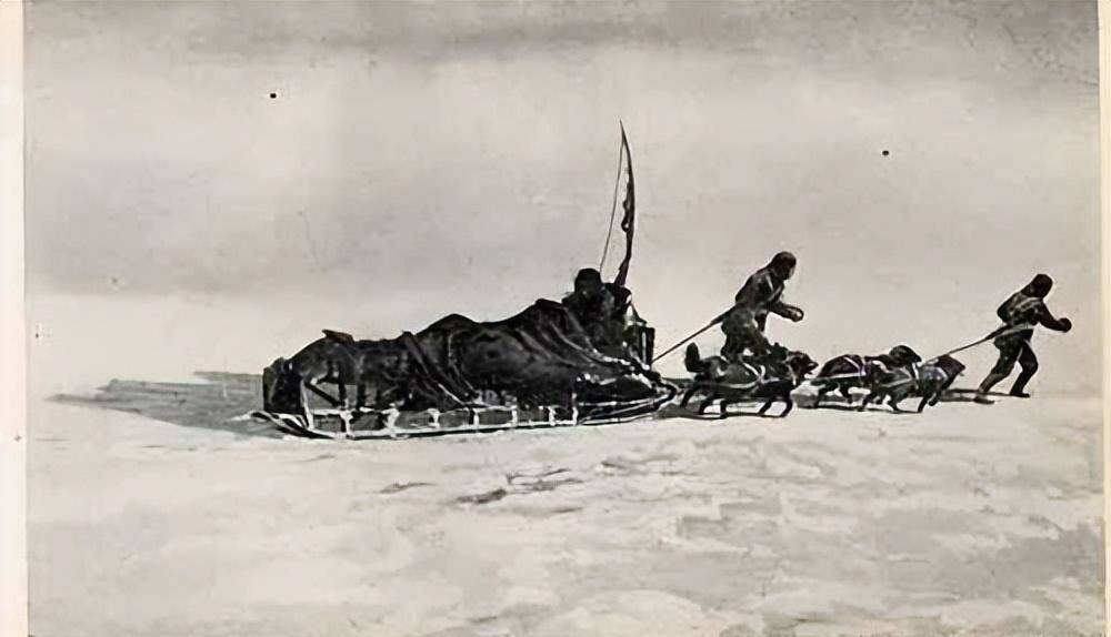 100多年前的一场伟大的求生奇迹_南极_沙克尔顿_大陆