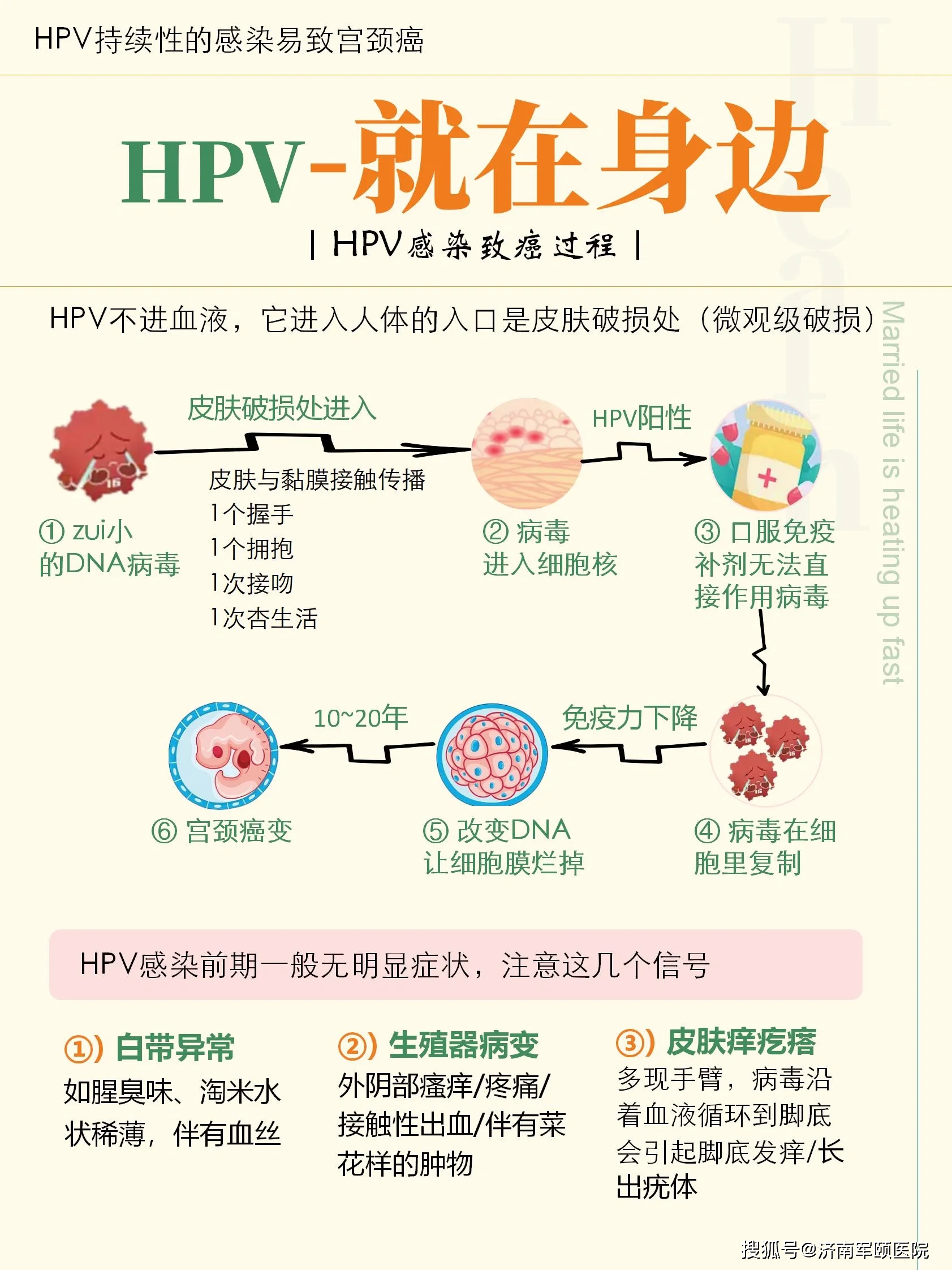 hpv感染原因图片