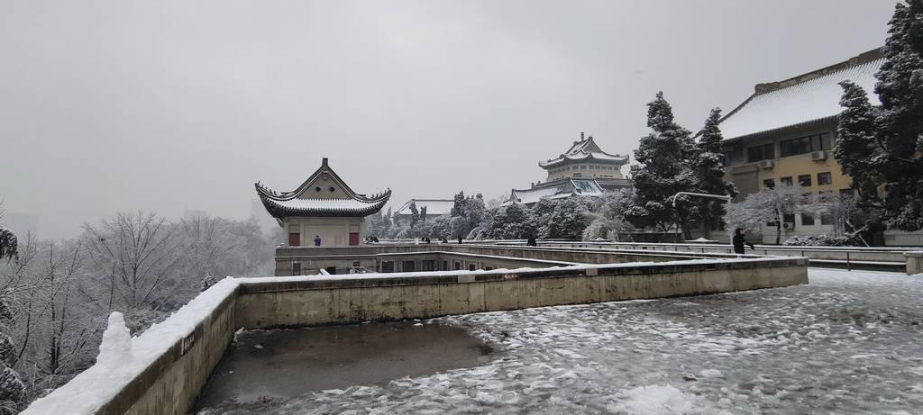 心中美景道不得,_雪景_樱花_历史