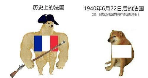 使用了百年,今是联合国五常之一_法国_投降_白色