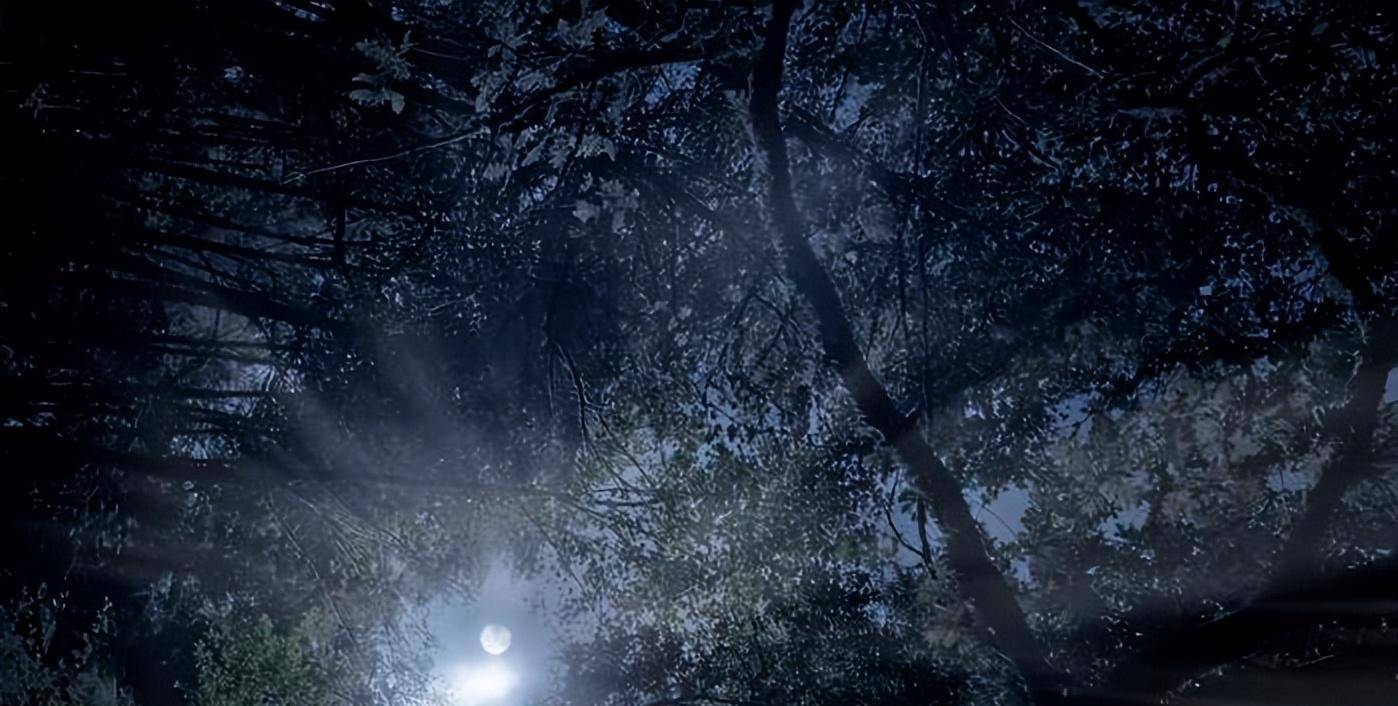 四川黄泉路:国内一级禁区,政府下令封禁400年,谜团至今未解?