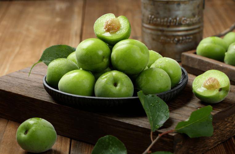 青梅(龙脑香科青梅属植物)_繁殖_古人_土壤