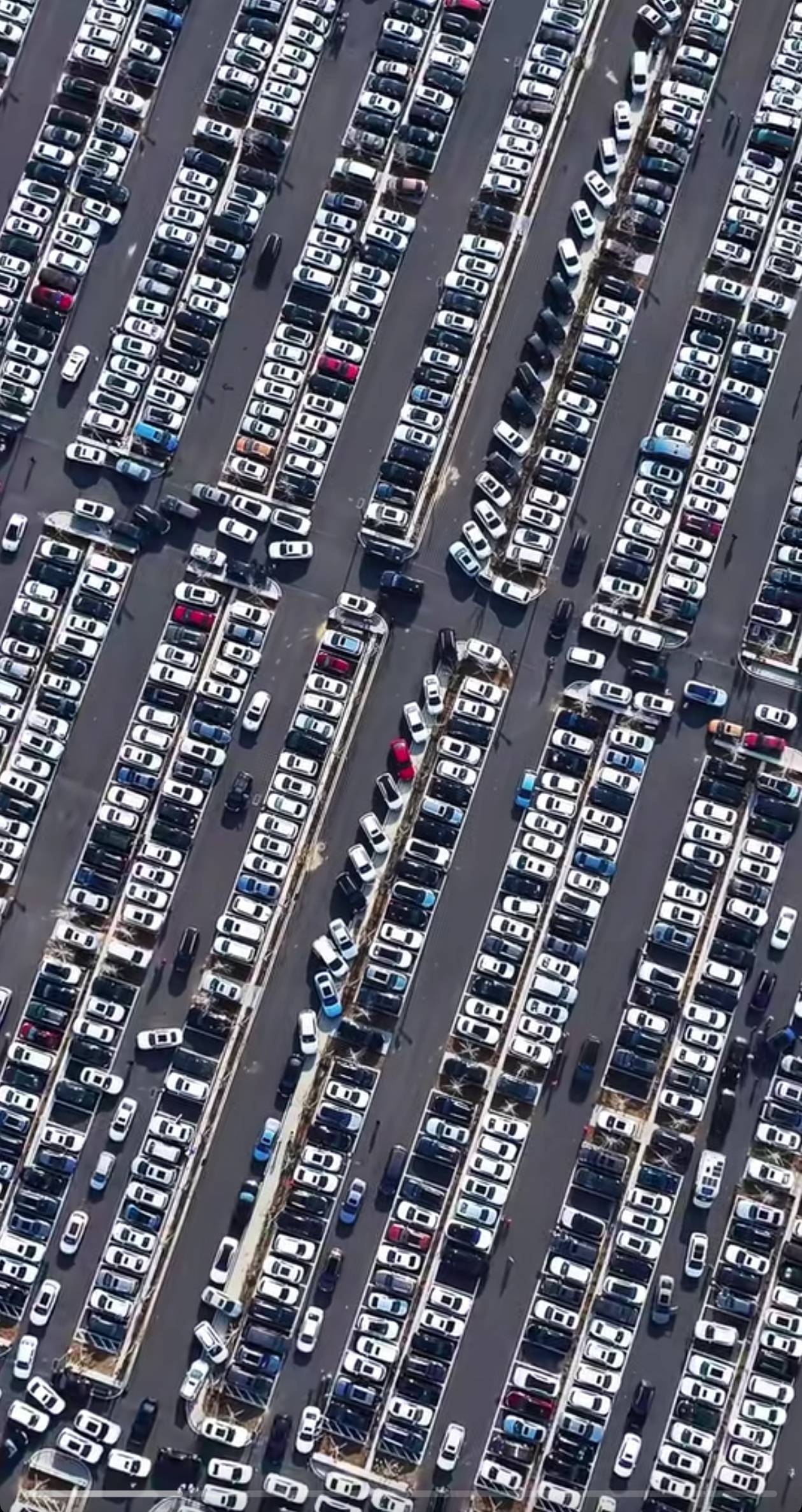 国产车反攻合资车的号角已吹响,2024年将会更精彩!