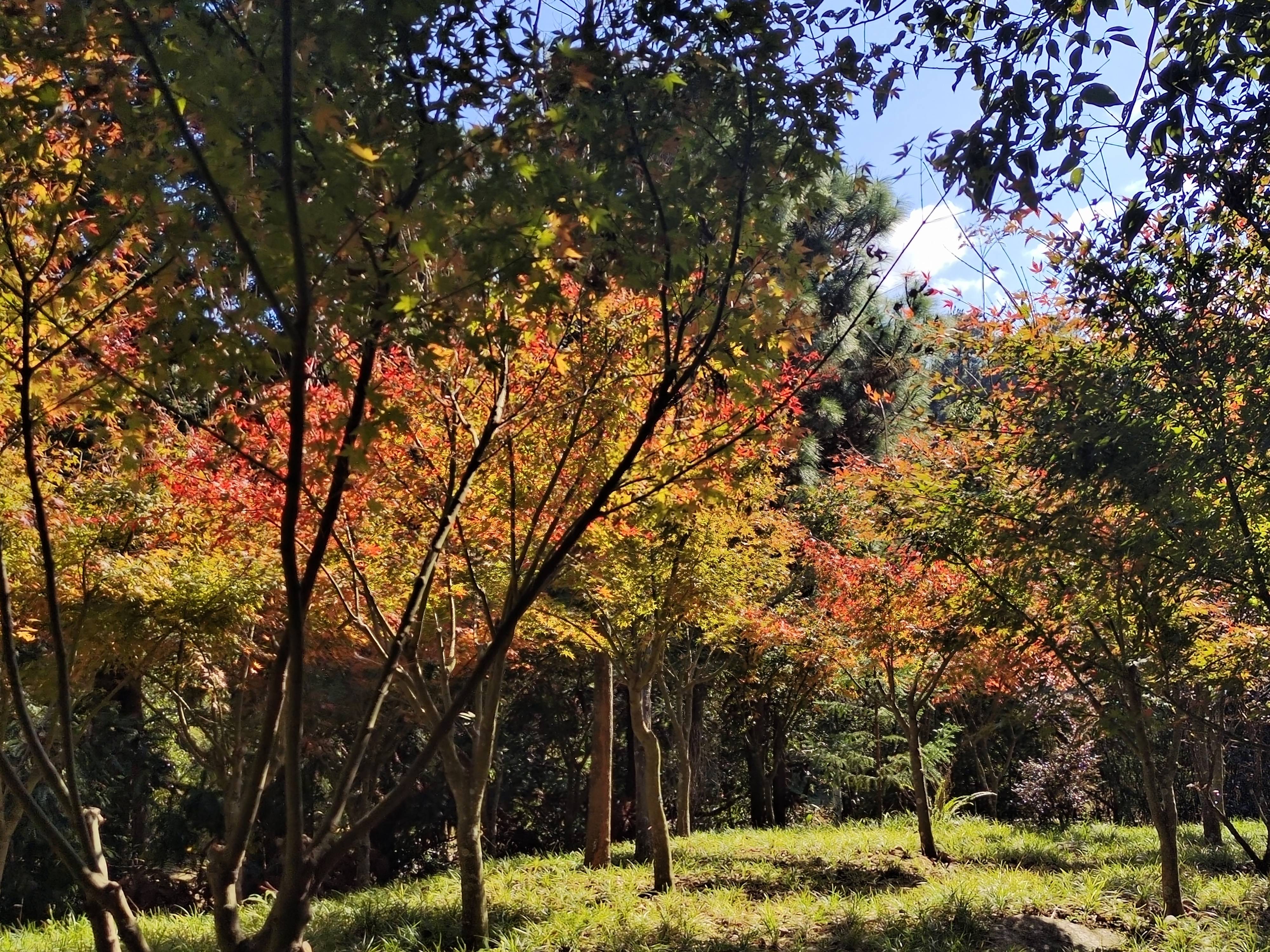 福州风景鼓岭图片