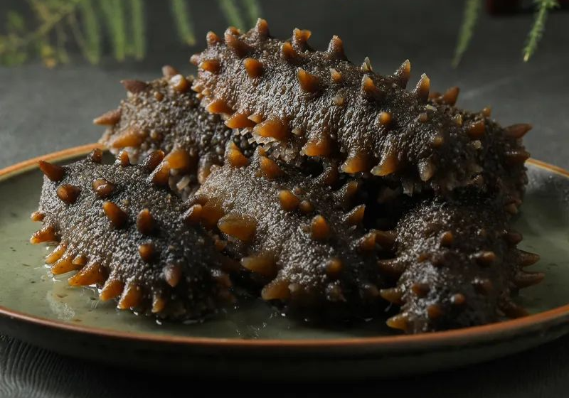 海参要有规律的吃,营养才能翻倍!_食用_补益_人体