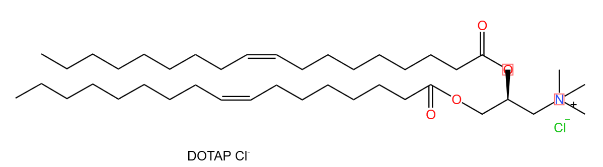 dope(二油酰磷脂酰乙醇胺)是常用的辅助脂质,比使用dopc(二油酰磷脂酰