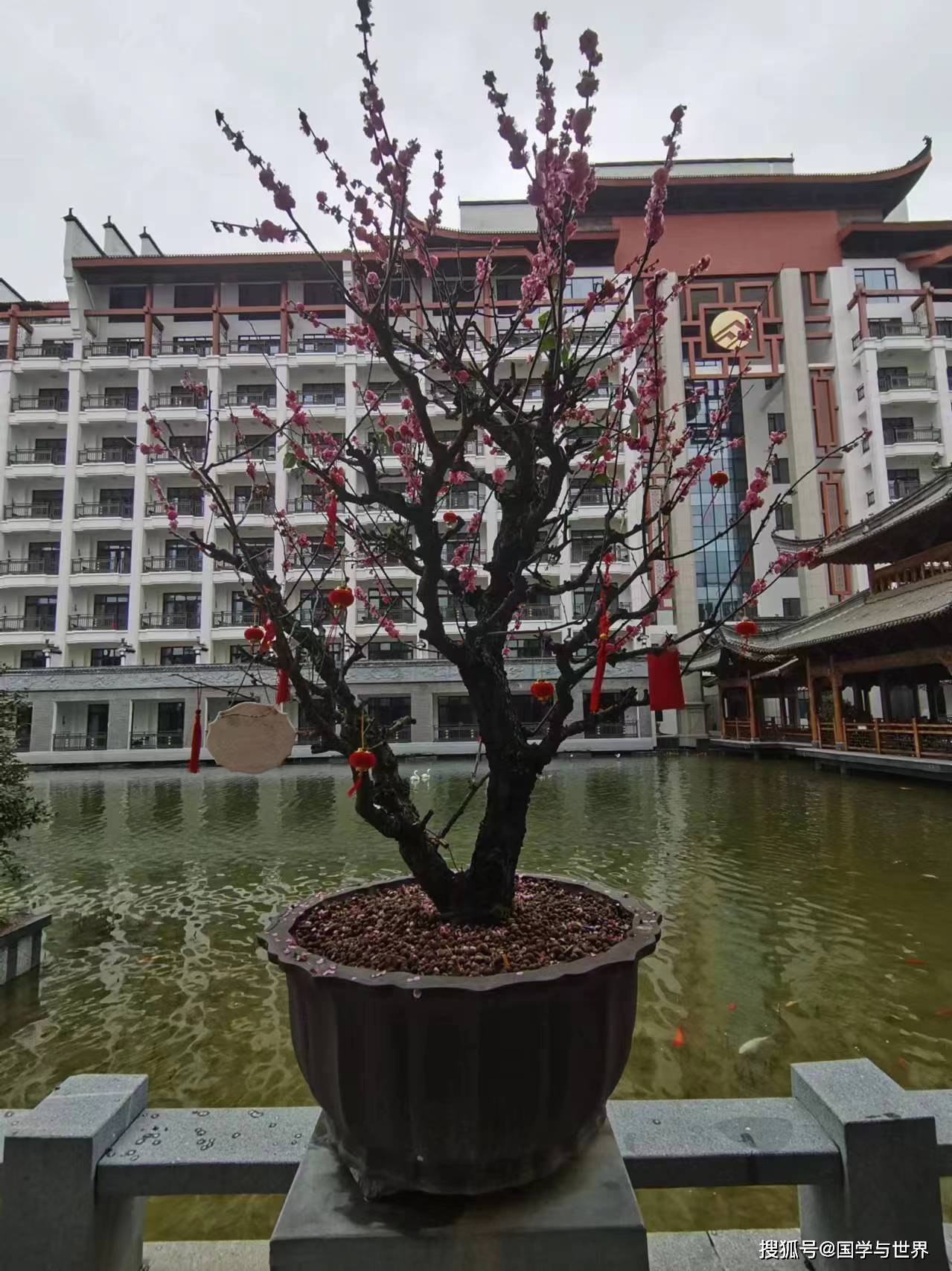 甲辰春节江南纪行组诗(下篇)_扬州_江苏_大连市