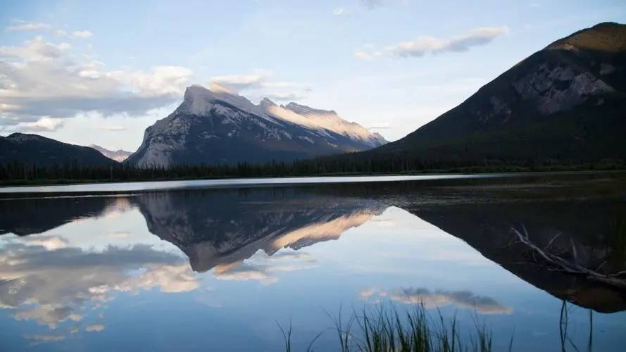 最新招标铁岭县2023年耕地质量监测点监测功能区建设项目的采购公告