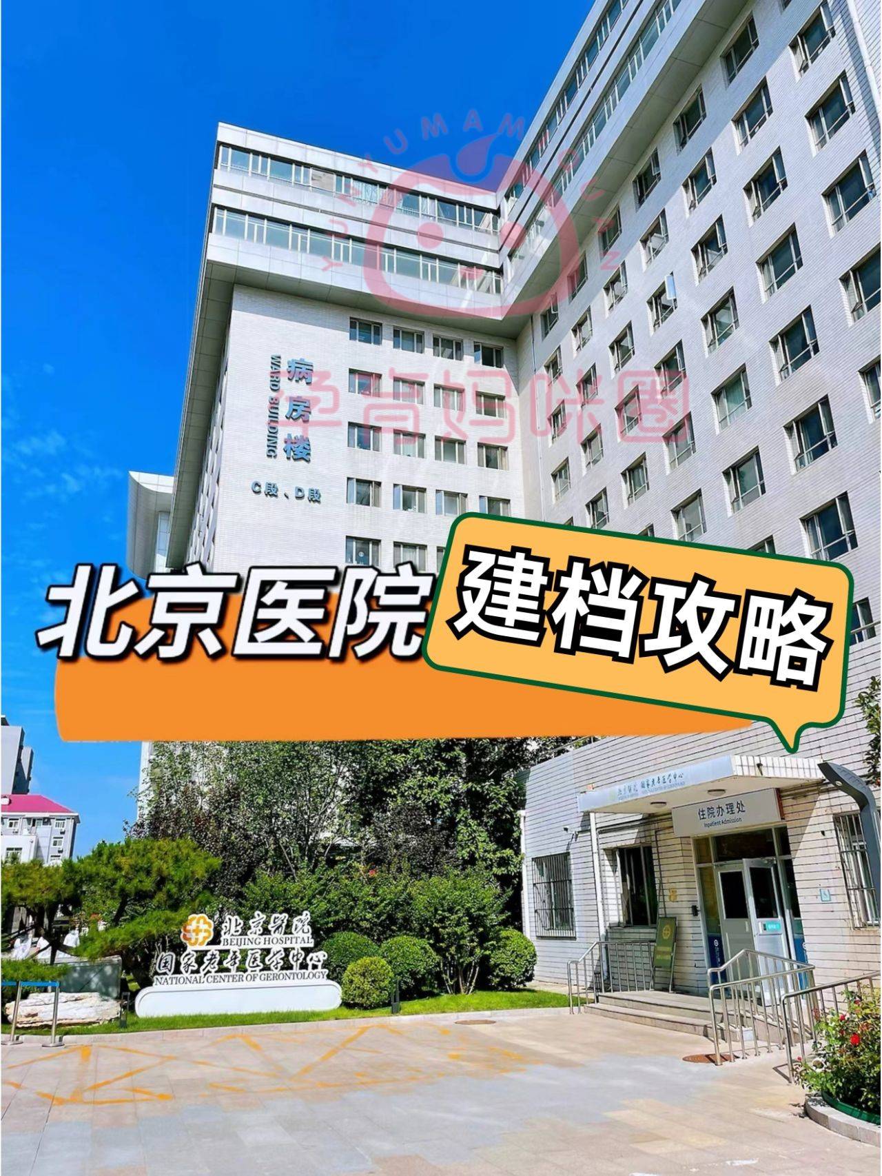 关于北京陪诊服务石景山区黄牛票贩子产科建档价格的信息