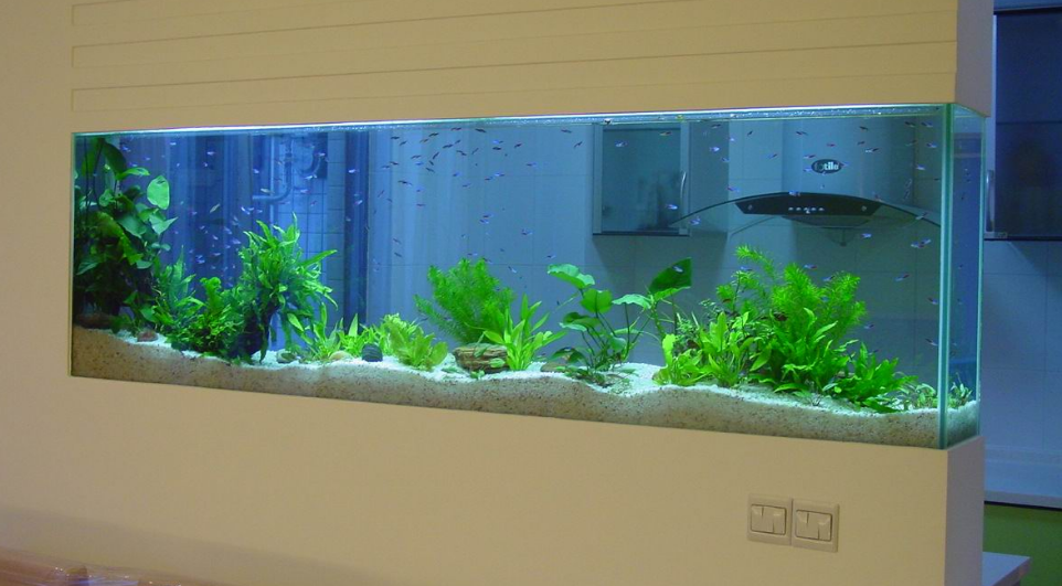 二,肥料 肥料有根肥,基肥,液肥和有机肥等等,新开缸不建议添加基肥