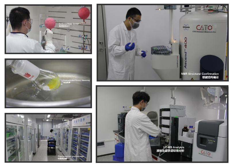 cato金霉素杂质研究合集_细菌_繁殖_治疗