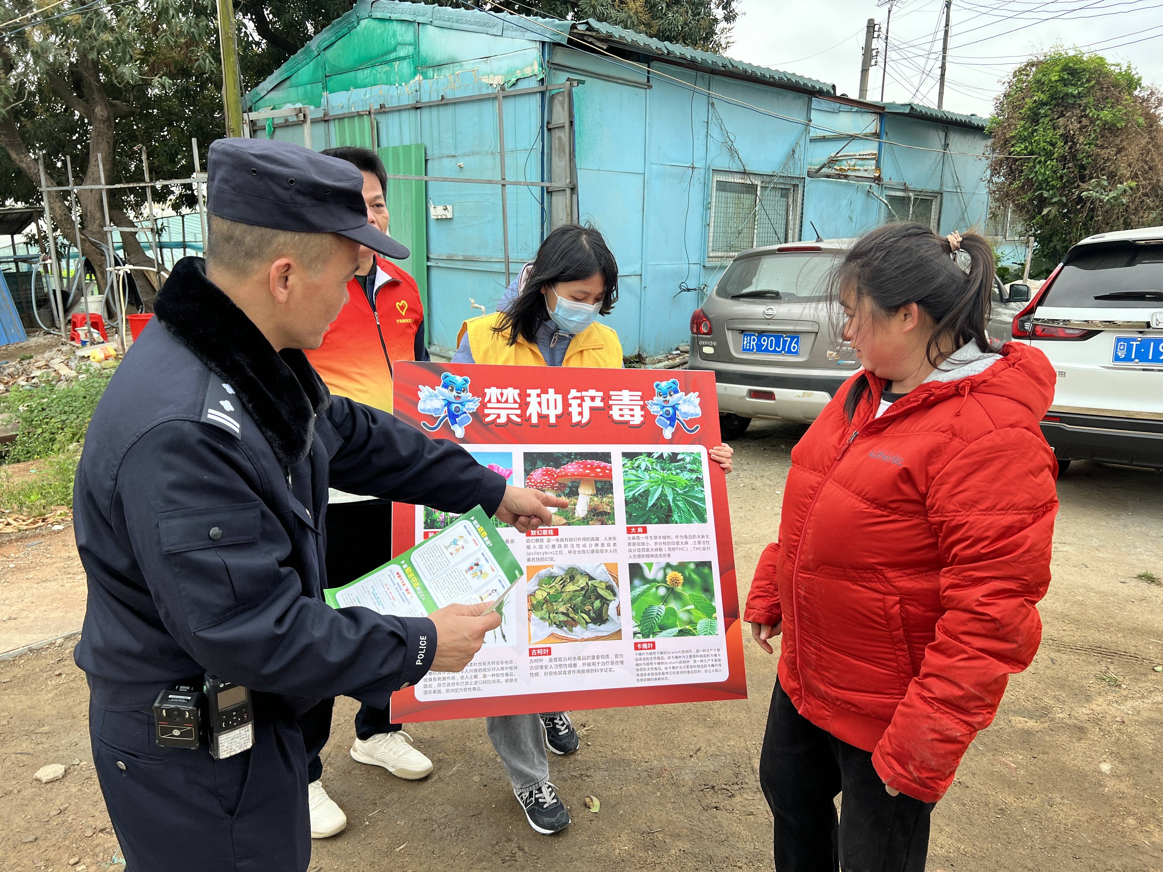 此次踏查,未发现辖区有非法种植毒品原植物行为,调动了村民参与禁毒