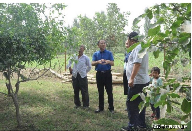 此前曾获"全国优秀县委书记"称号_策勒县_自治区_和田