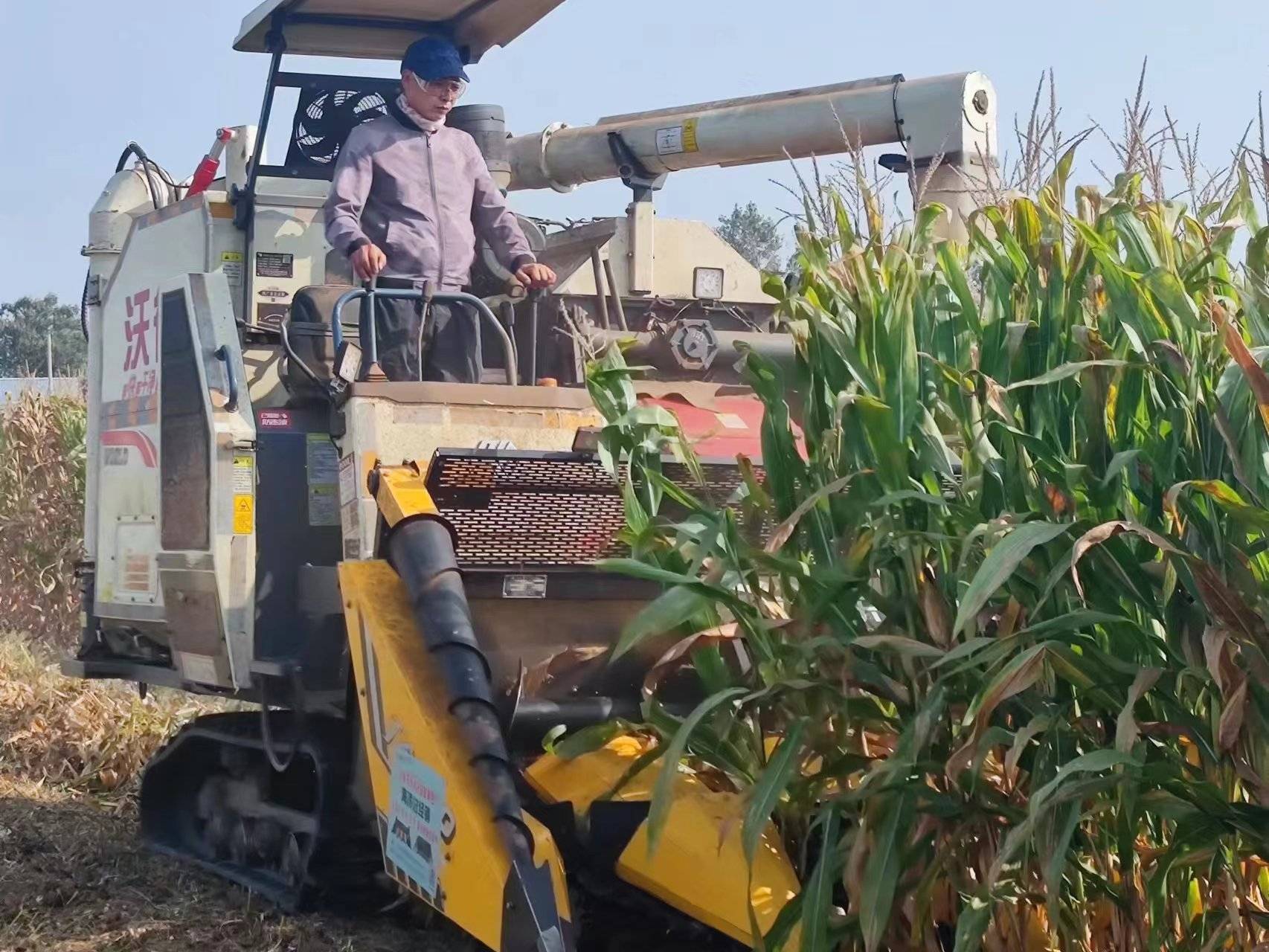 沃野风采丨江苏滨海新农人胥金龙: 兴村富民当主角 唱响乡村振兴戏