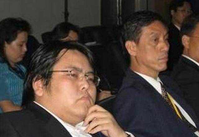 被枪杀,娶女明星,10年败光百亿,被悬赏2162万通缉_集团_李海仓_山西省