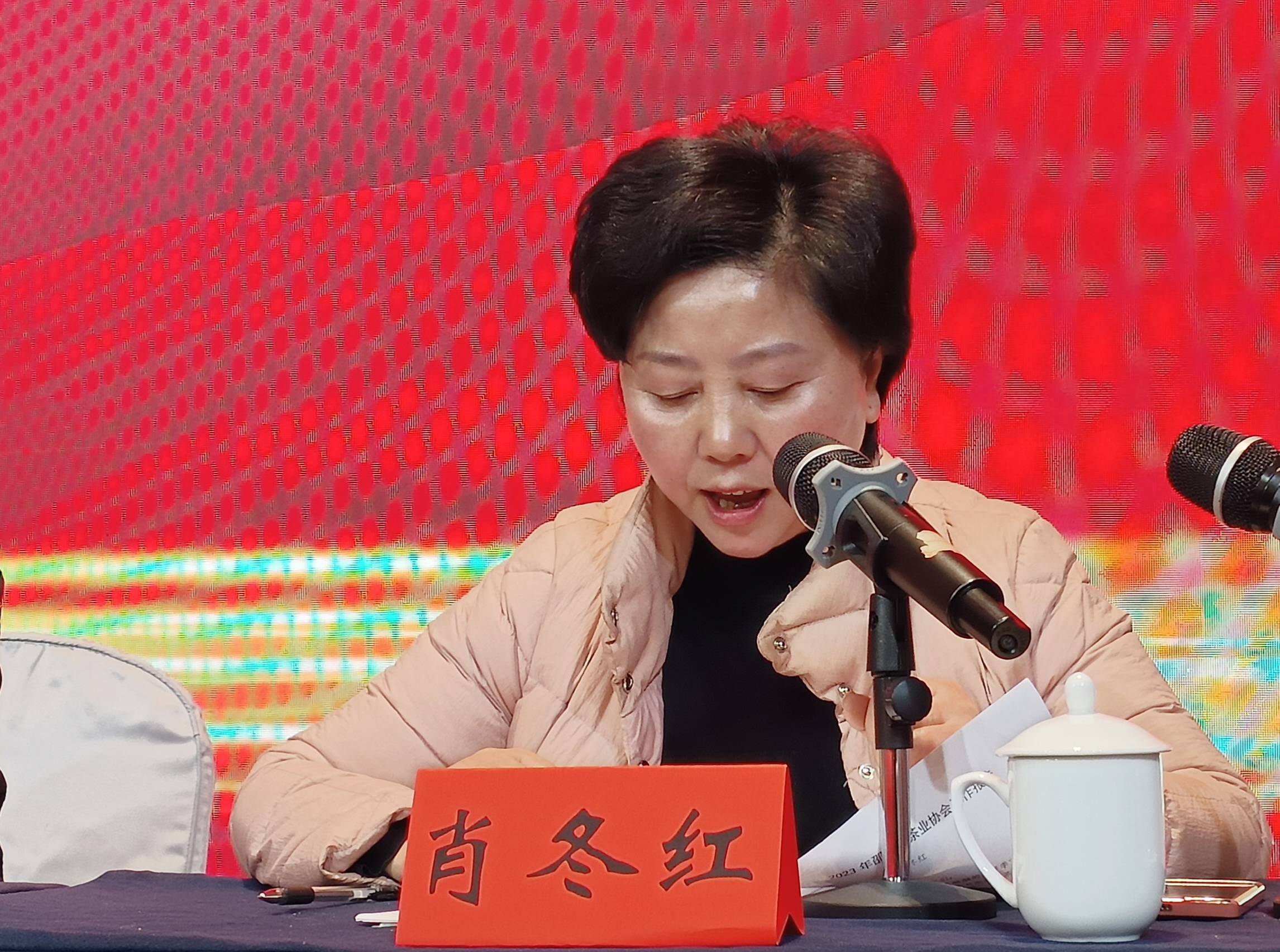 会上,罗玉梅,罗华,刘文峰,王铭祥等分别就"邵阳红"100亿茶产业发展及"