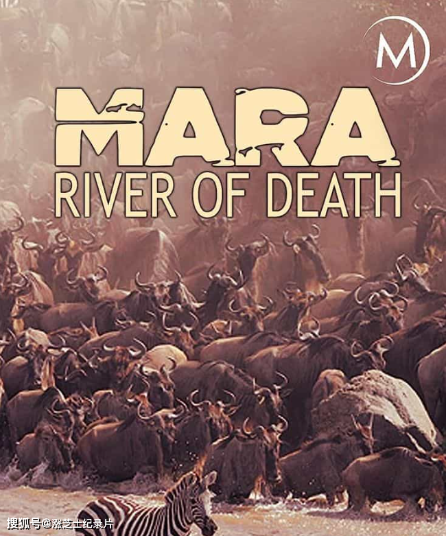10287-德国纪录片《马拉：生命之河 Mara：River of Death 2012》1080P/MKV/4.32G 野生动物的家园