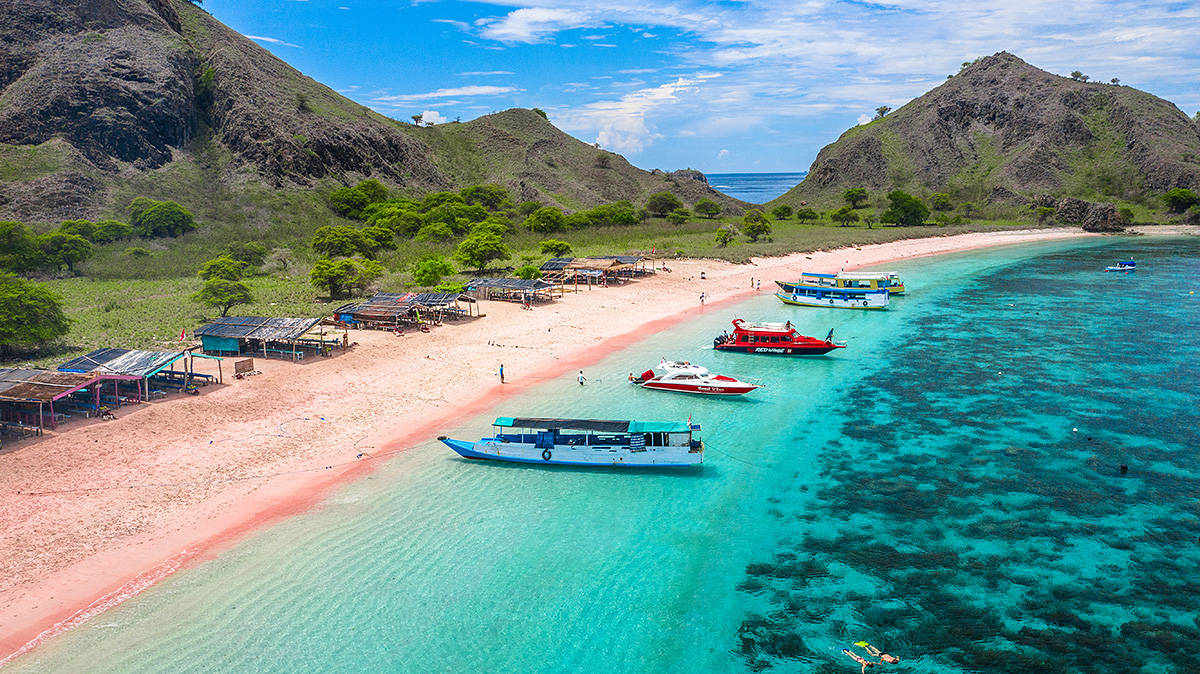 共有三处之多,这里粉砂并不全是红珊瑚形成_beach_海滩_粉色