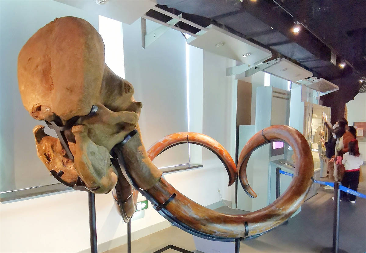 原创带娃走进博物馆欣赏璀璨的石头