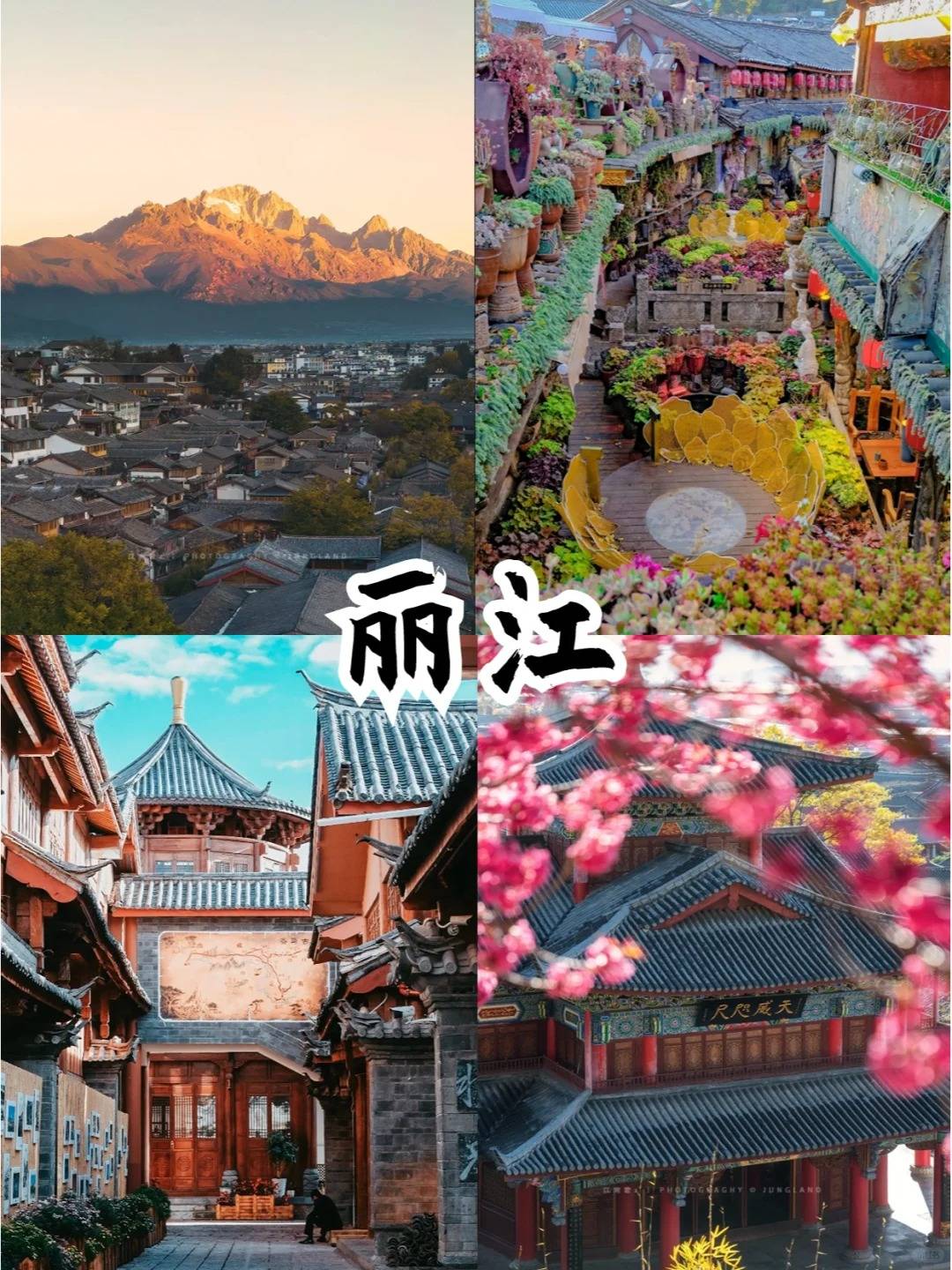 想去云南旅游不知道带多少钱?看这篇就清楚了_day_丽江_大理