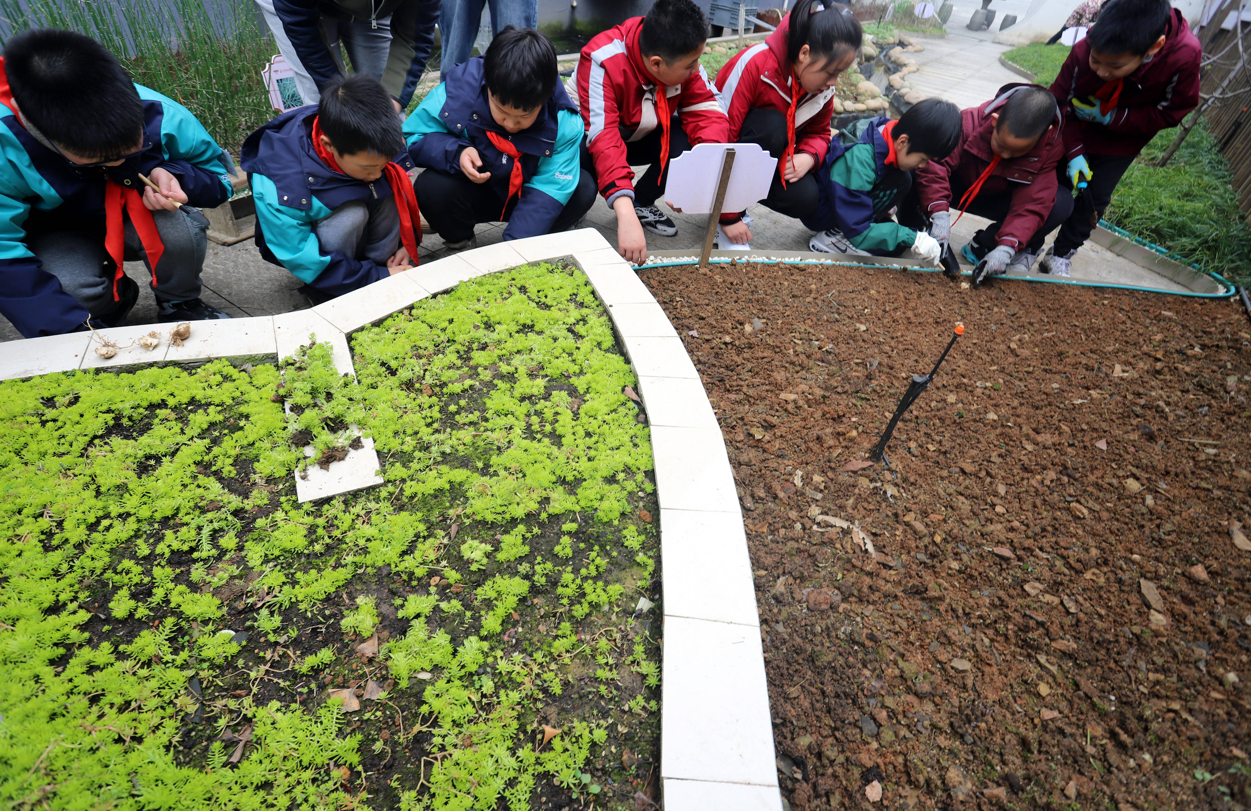 银杏娃建言献策,写下对中草药文化馆的种植建议,并将心愿放进许愿瓶