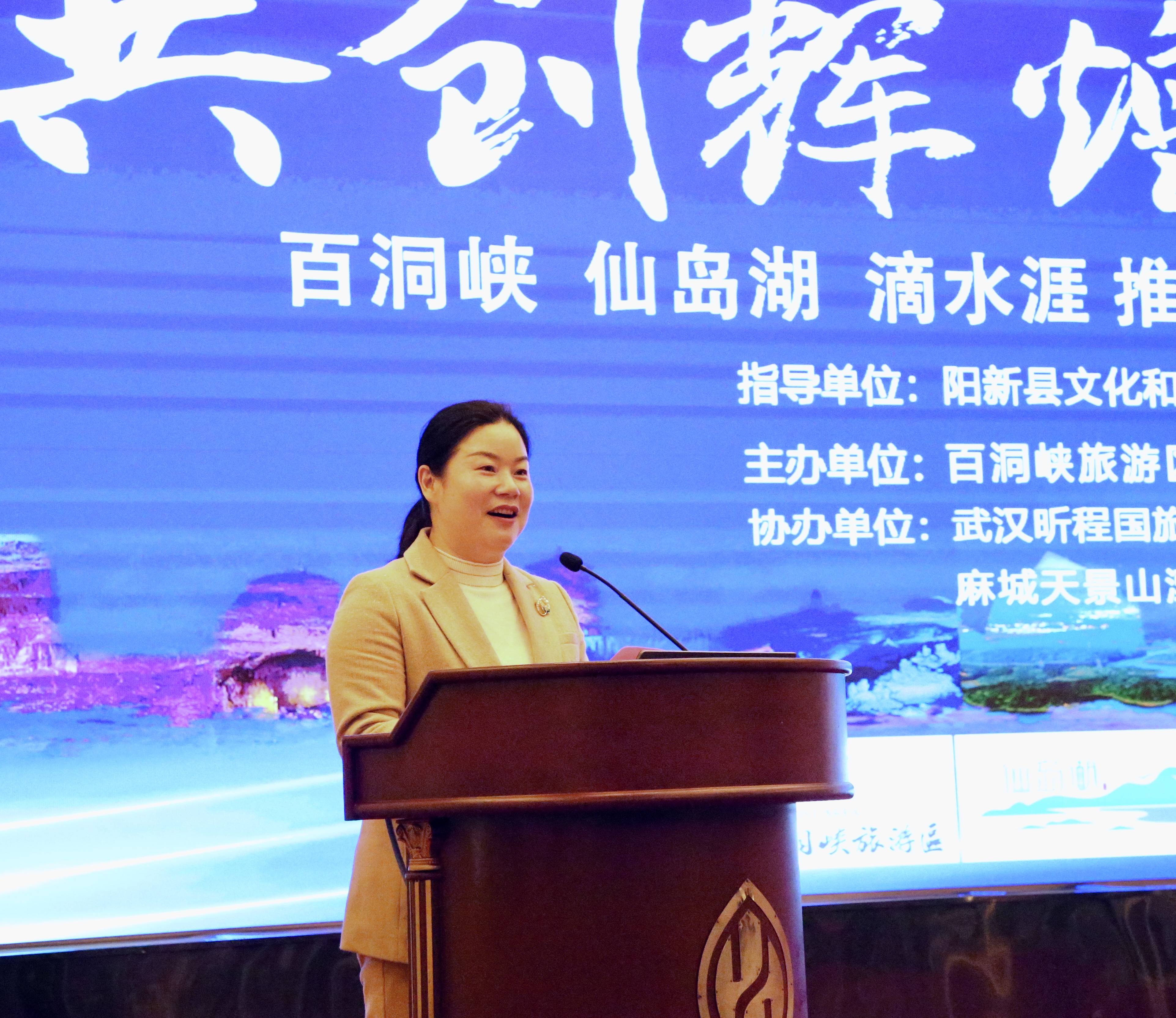携手江城共绘胜景百洞峡仙岛湖滴水涯联合推介会启幕