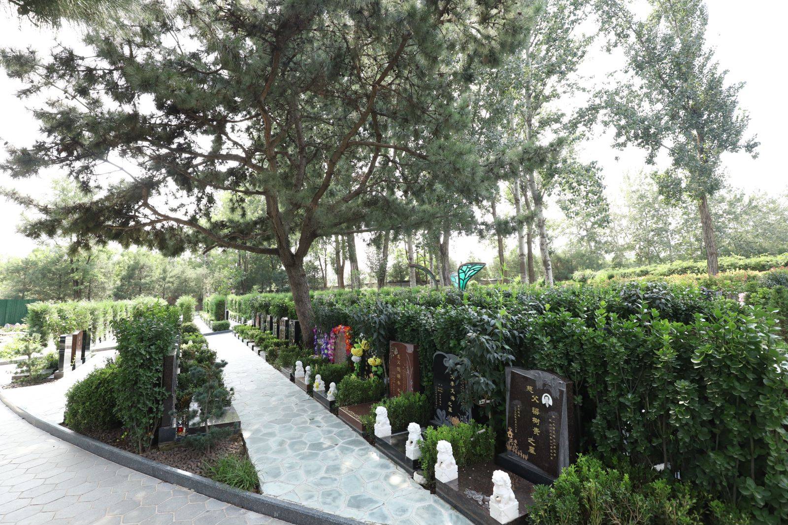 天寿陵园的树葬怎么样?_仁仕区_京韵_京华园