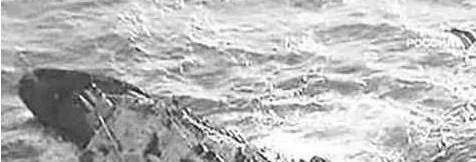 这一事件又叫中安轮沉船事件,发生在抗日战争刚刚胜利之后,虽然国共