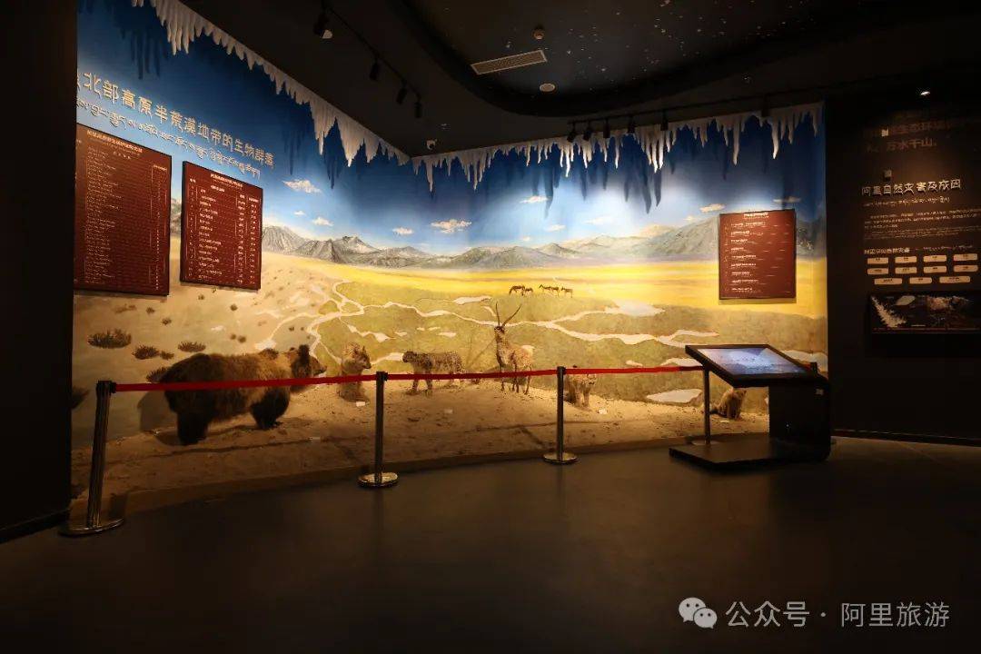 阿里博物馆,来阿里必打卡的地方丨宽创博物馆设计施工一体化