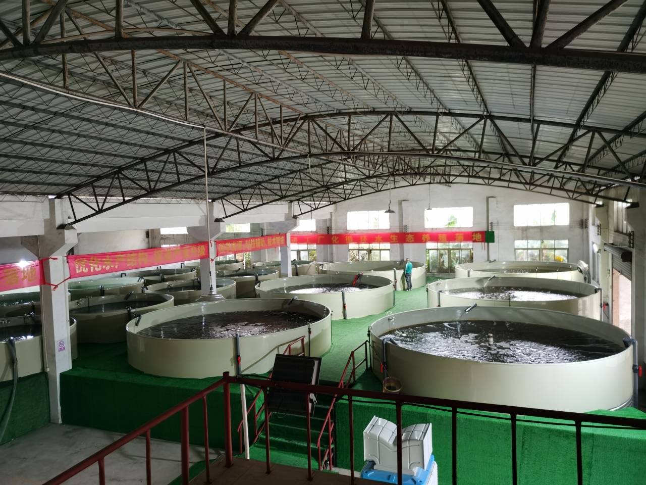 佛山市辉创众兴农业生物科技有限公司工厂化循环水养殖助力水产行业