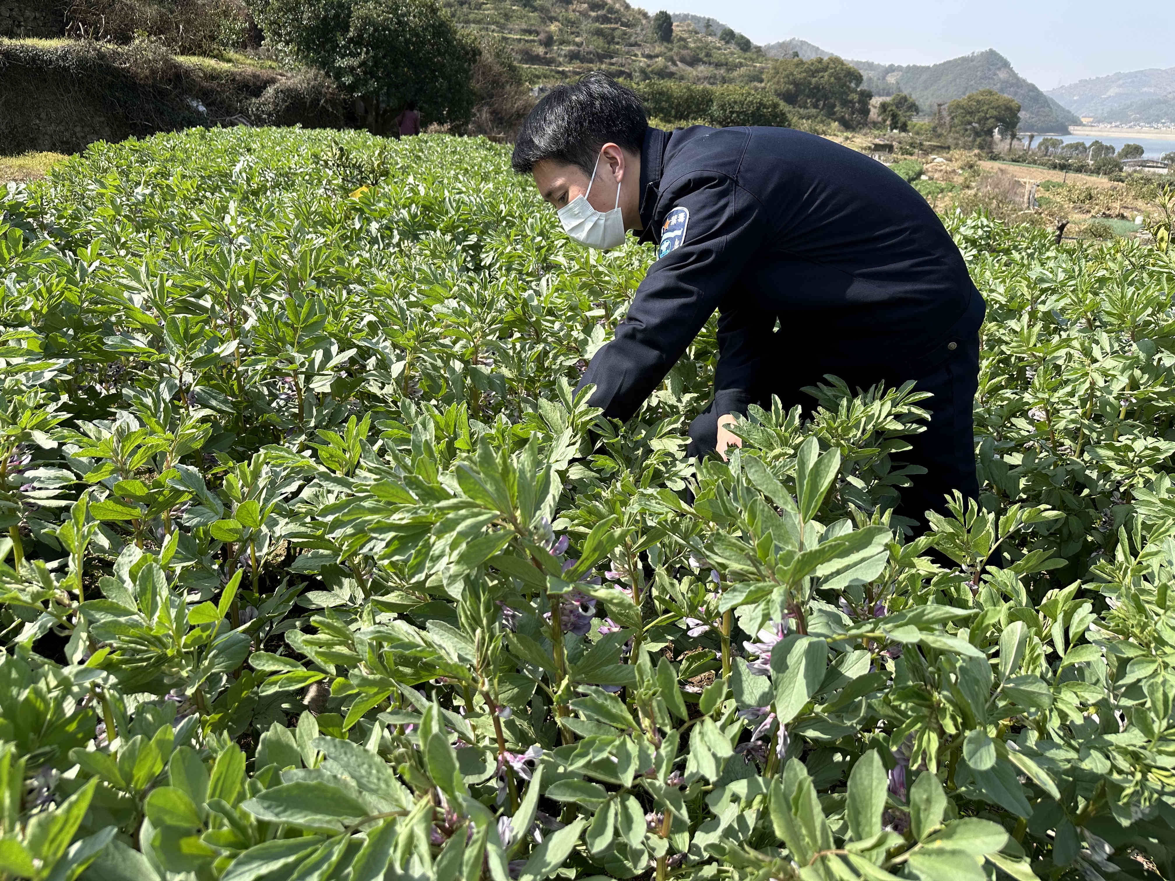 清港镇禁毒办组织开展春季禁种铲毒踏勘活动